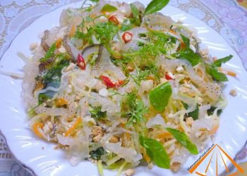 raw_jelly_fish_with_green_mango