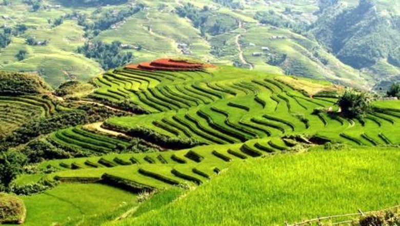 Sapa mountain Vietnam