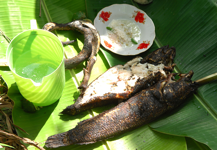 grilled-snakehead-fish-ca-loc-nuong-trui