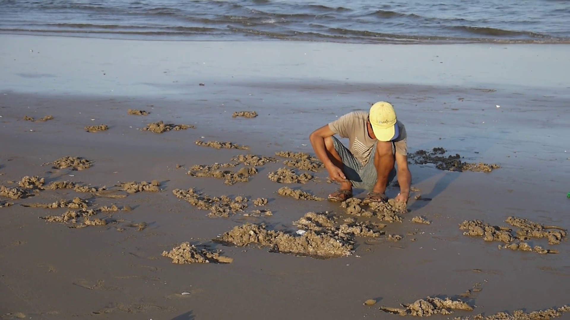 Collecting clams from sea Hue City