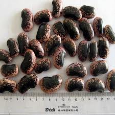 black-soybean-sua-dau-nanh-den