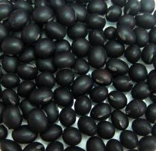 black-soybean-sua-dau-nanh-den