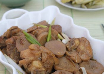 braised-chicken-meat-with-mushroom-recipe-thit-ga-kho-nam