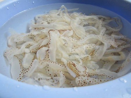 Jelly Fish (Sứa)