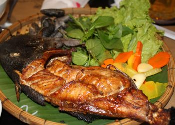 black-scrawled-cowfish-ca-bo