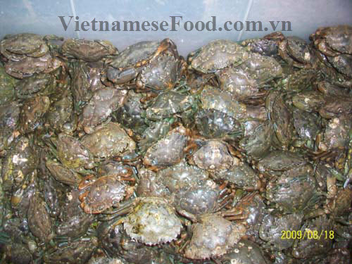 ezvietnamesecuisine.com/paddy-crab-paste-vermicelli-soup-recipe-bun-rieu-cua