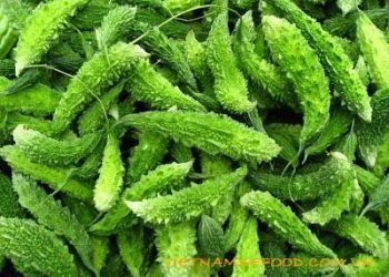 forest-bitter-melon-kho-qua-rung