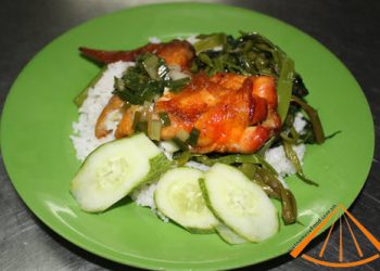 ezvietnamesecuisine.com/fried-chicken-with-boiled-rice