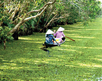 hau-giang-province