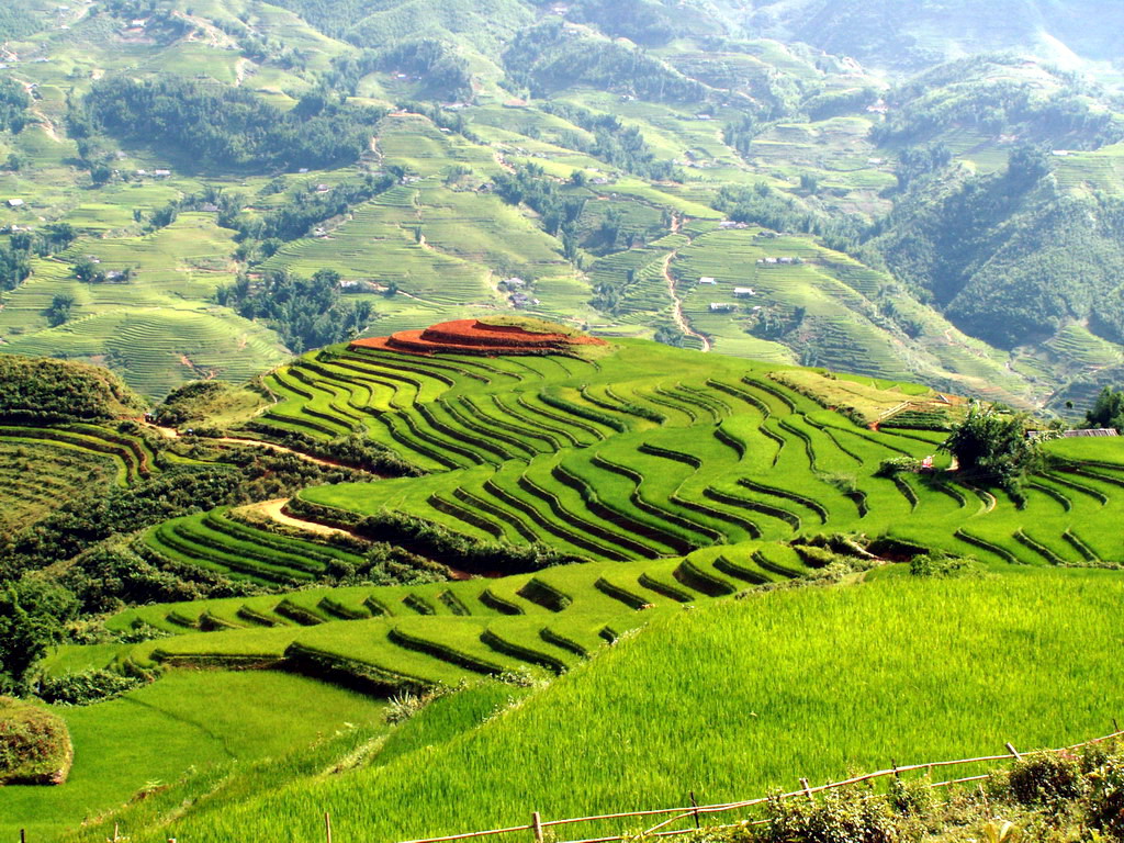 lao-cai-province