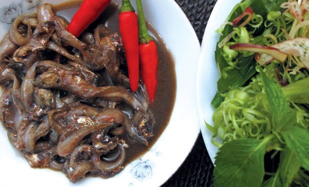 salted-anchovy-in-phu-yen-province-mam-ca-com