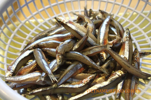 salted-anchovy-in-phu-yen-province-mam-ca-com