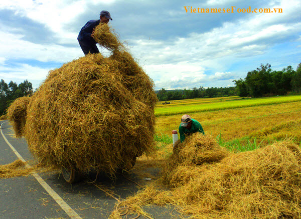 phu-yen-viet-nam