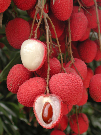 The unexpected benefits of lychee