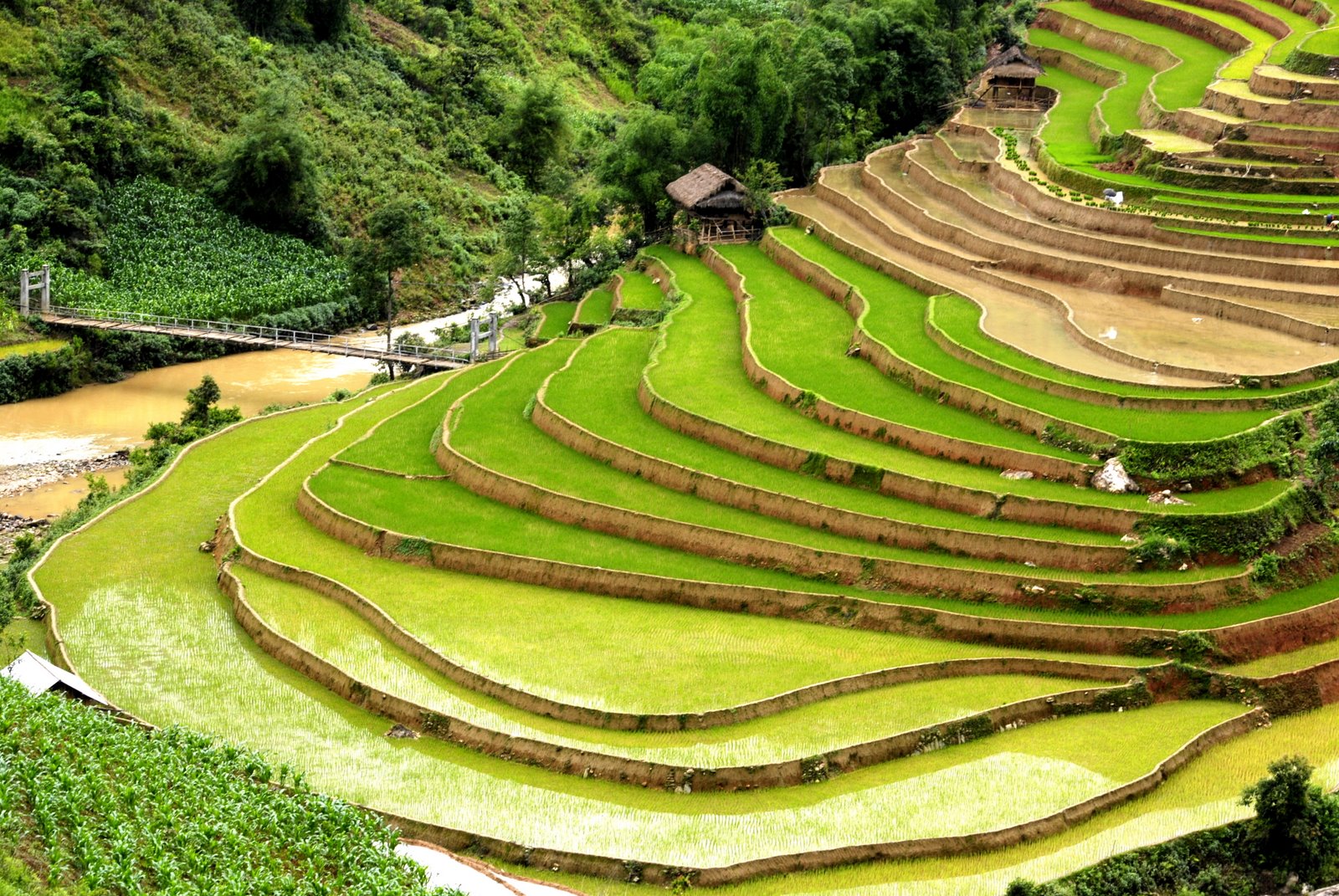 Yen Bai Province (Tỉnh Yên Bái) - EZ Vietnamese Cuisine